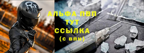 PSILOCYBIN Новодвинск