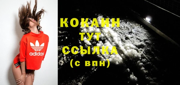 прущая мука Няндома